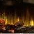  Dimplex Ignite Ultra 40 - Indbygget elektrisk pejs