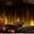 Dimplex Ignite Ultra 74 - Indbygget elektrisk pejs